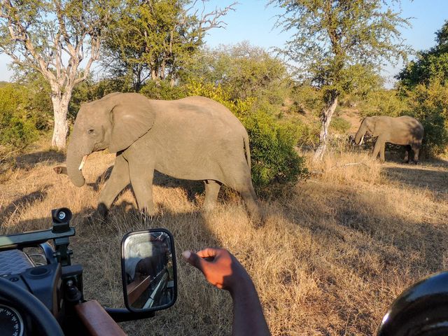 Rondreis langs de highlights van Zuid-Afrika