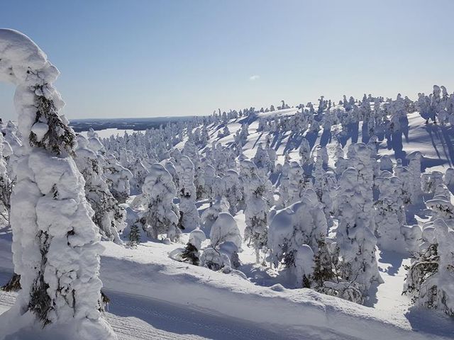 8 daagse excursiereis The Nature of Ruka