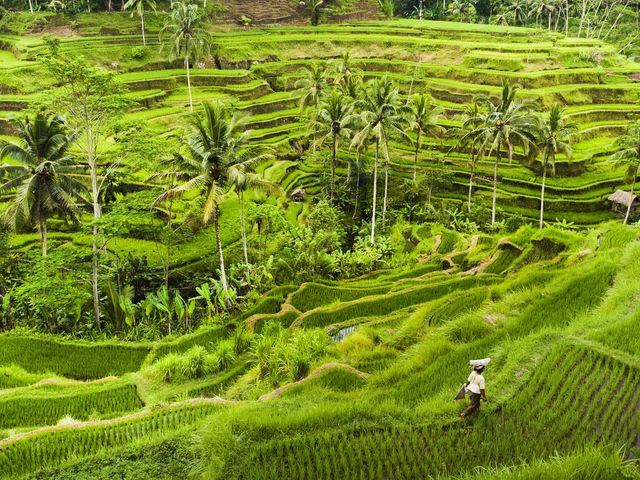 Afwisselende reis naar Bali