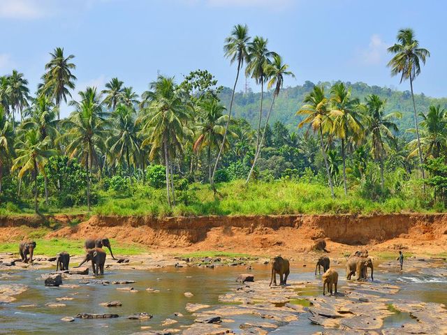 22-daagse rondreis Grand Tour Sri Lanka