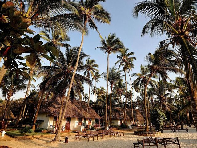 16 daagse safari Verrassend Tanzania & Zanzibar