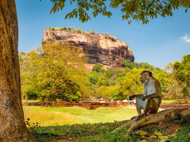 19-daagse rondreis Parels van Sri Lanka