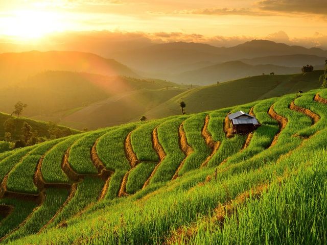 22-daagse rondreis Thailand Compleet
