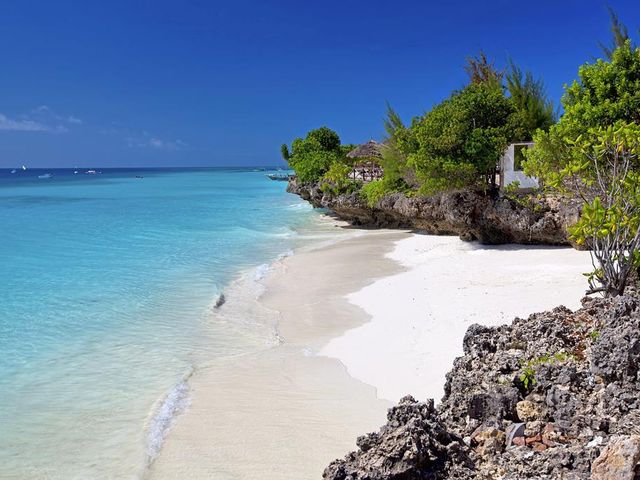 9 daagse safari Selous & Zanzibar deluxe