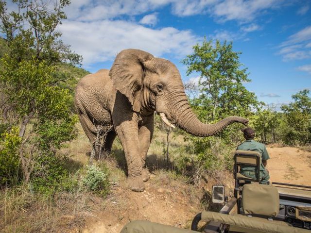 Grand Tour Zuid-Afrika Deluxe