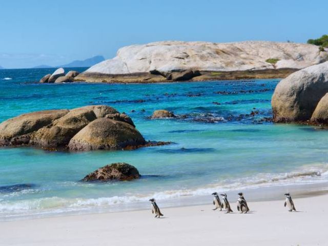 Grand Tour Zuid-Afrika