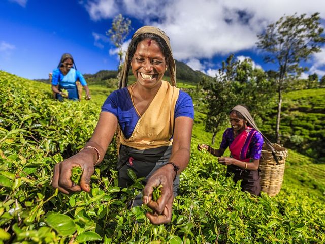 Sri Lanka Highlights en Malediven