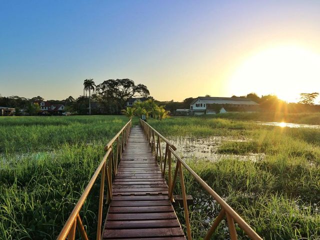 10 daagse reis a taste of Suriname