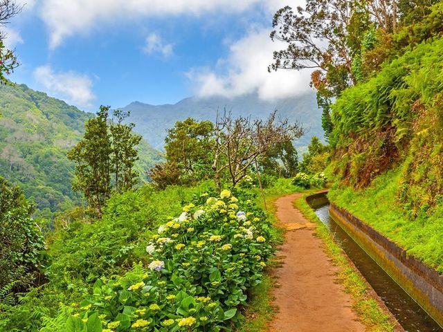 8 daagse singlereis Veelzijdig Madeira
