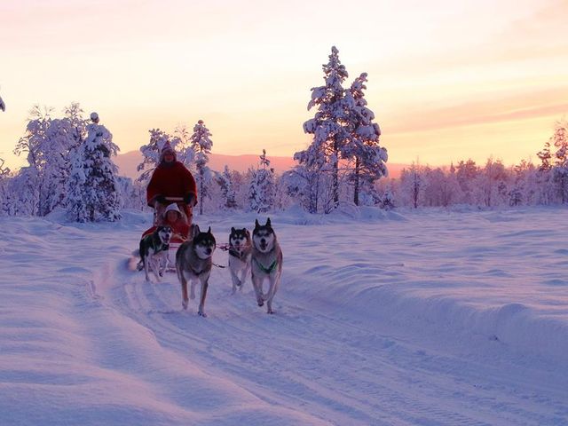 5 dg excursiereis Shortbreak Lapland Hotel Saaga