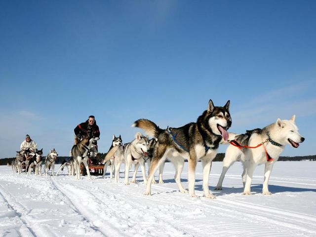 8 daagse excursiereis Ontdek Arctic Lakeland