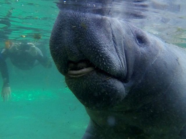 Van moerassen tot magie: Op avontuur door Florida