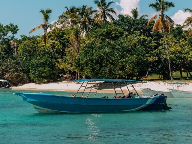 Hoogtepunten van Florida in 2 weken
