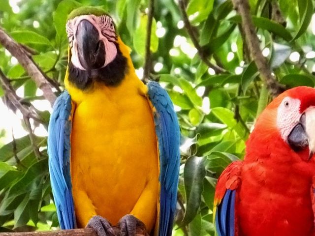 Costa Rica van het gebaande pad