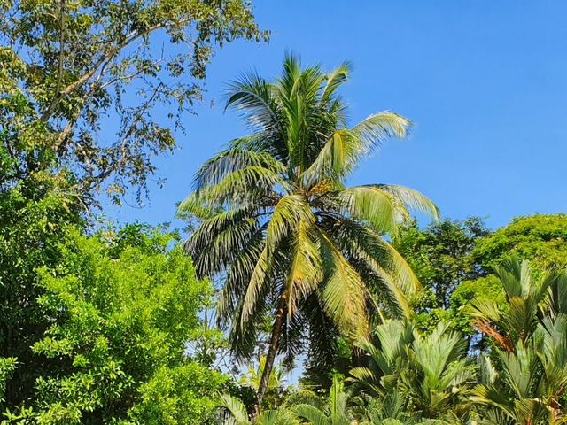Verrassend Costa Rica in 2 weken