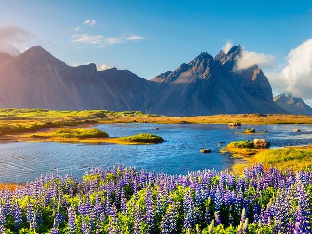 Velkomin IJsland in 8 dagen