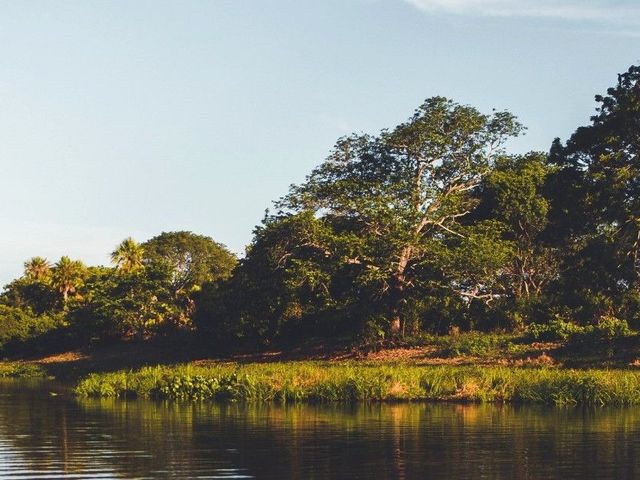 Natuurlijk Brazilië