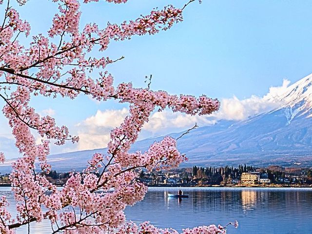 Van Osaka naar Kamakura: Wolkenkrabbers, Japanse Alpen en strand