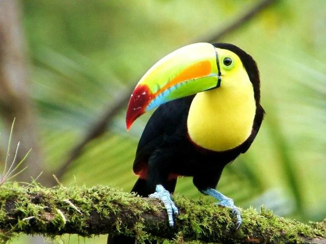 You better Belize it!
