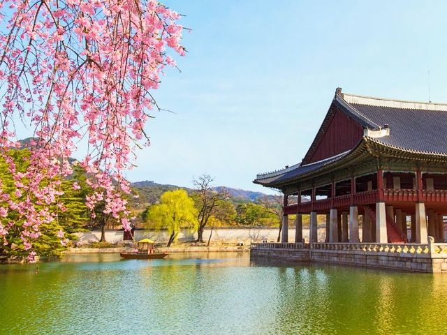 Self-drive: de hoogtepunten van Zuid-Korea in 3 weken