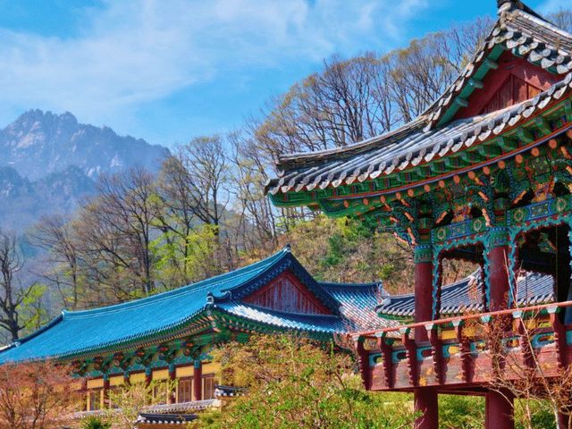 Actief door Zuid-Korea