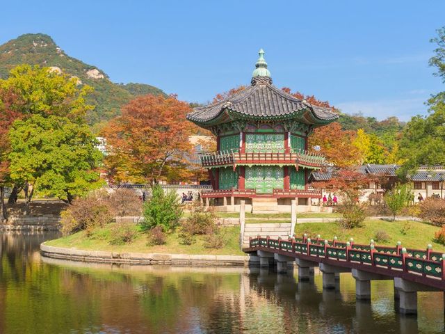 Met je gezin naar Zuid-Korea