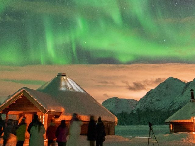 Tromsø – Walvissen, Rendieren & Sami cultuur