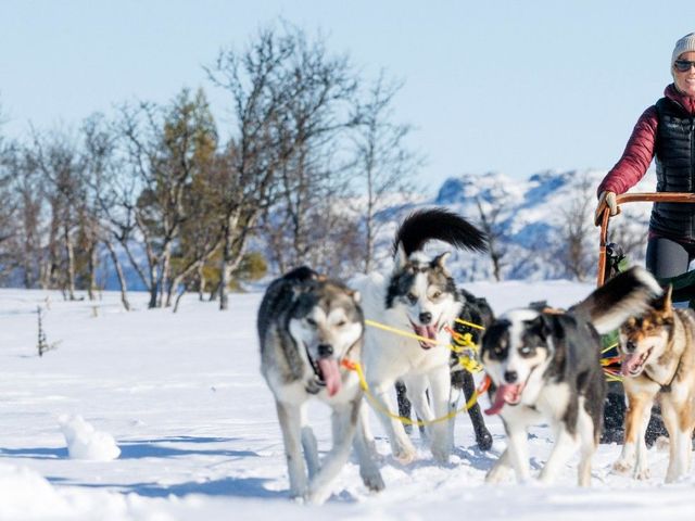 Beitostølen – Winterwonderland in Zuid-Noorwegen