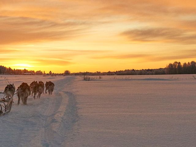 Arctic Lakeland – Winter in het hart van Finland