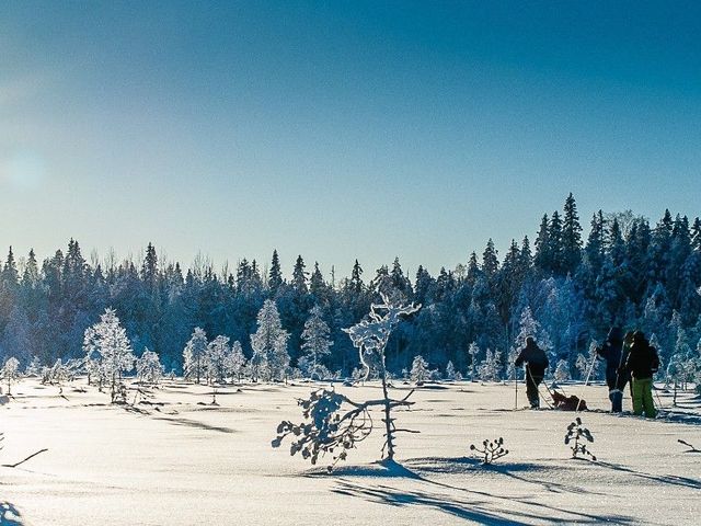 Noorwegen met de trein – Huskysafari en fjordcruisen