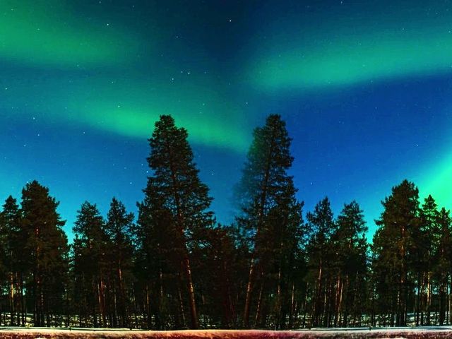 Ylläs – Familieavontuur Fins Lapland