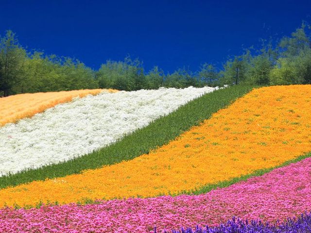 De hoogtepunten van Honshu en Hokkaido