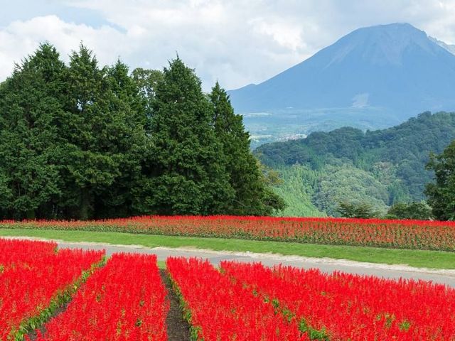 Langs de hoogtepunten en van het gebaande pad in Japan