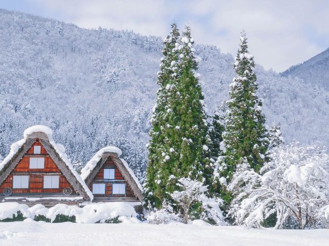 Japan in de winter: tempels, sneeuwapen en hete onsen