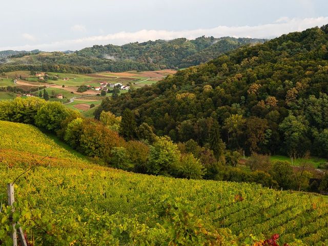 Slovenië en binnenland van Kroatië: van het gebaande pad
