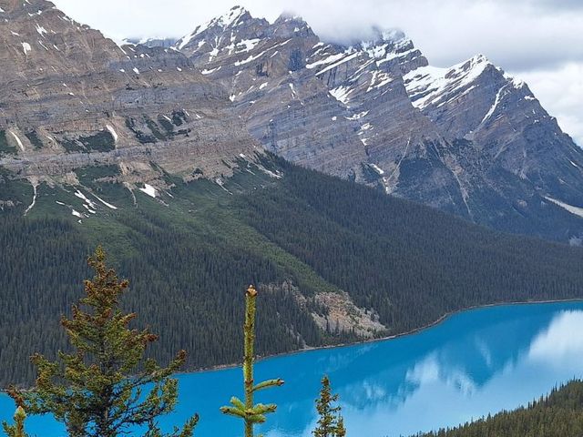 In 3 weken van Calgary naar Vancouver