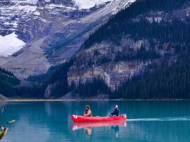 Wildlife en Wildernis in West-Canada