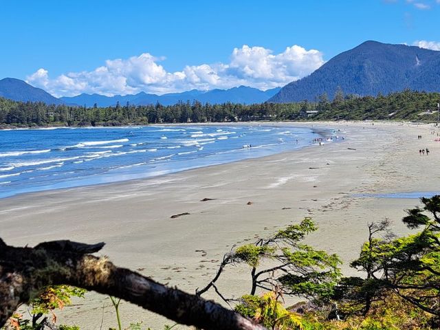 Rondreis Pacific Northwest: Vancouver Island, Seattle & Olympic National Park