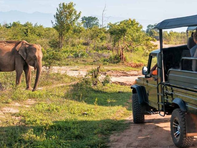 Sri Lanka: Op tuktuk expeditie met tieners