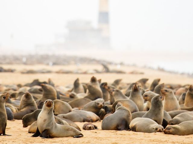 In vogelvlucht van woestijn naar delta