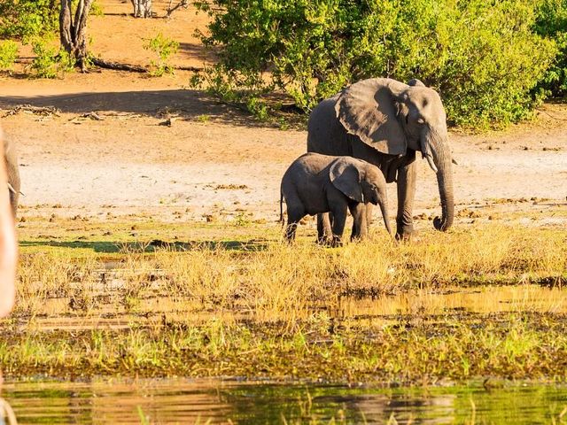 Het beste van Botswana