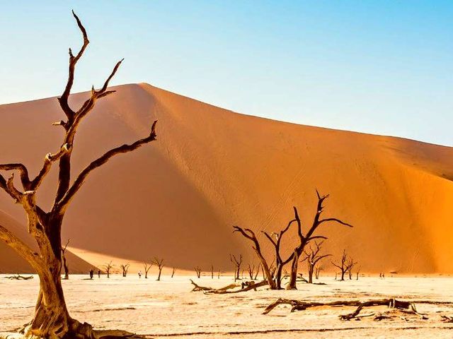 Van Kaapse kusten naar niemandsland in Namibië