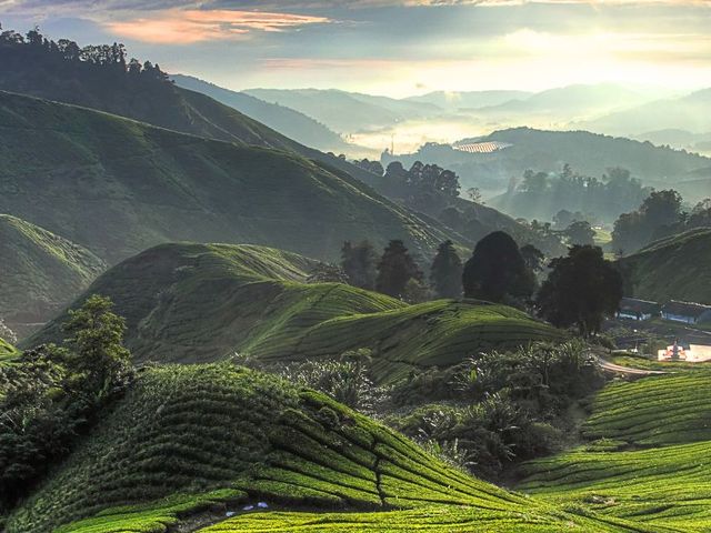 Maleisië en Sumatra - Van orang oetans naar palmeneiland