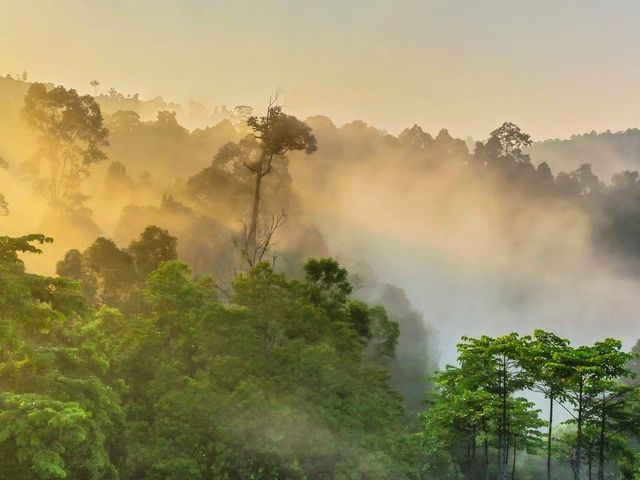 Maleisië en Borneo all the way