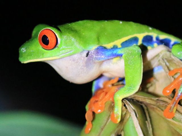 Avontuurlijk Costa Rica