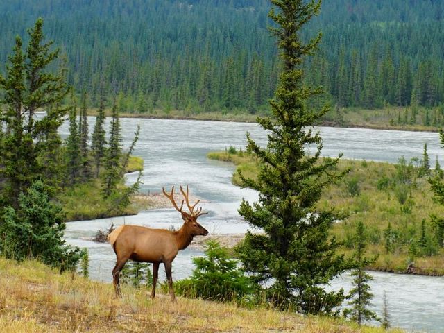 Avontuurlijk Canada