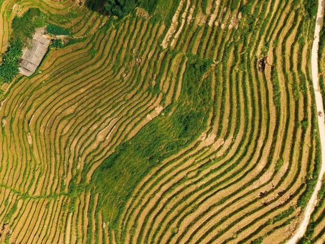 Avontuurlijk Vietnam – rondreis met tieners