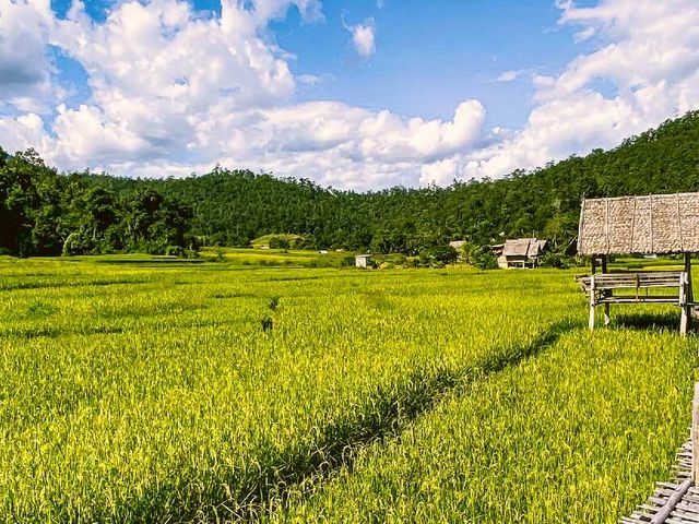 Thailand compleet