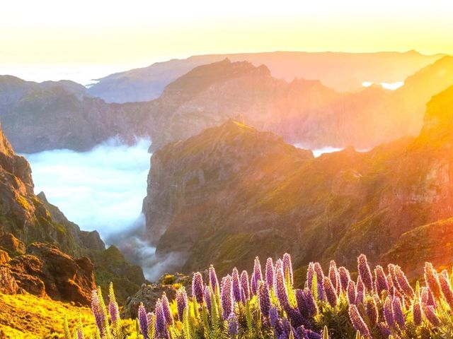 Highlights Madeira & Porto Santo met kinderen