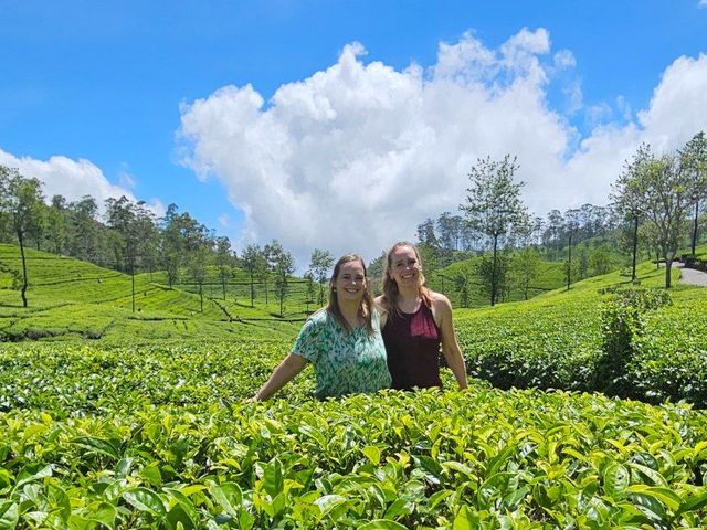 Hoogtepunten Sri Lanka in 3 weken